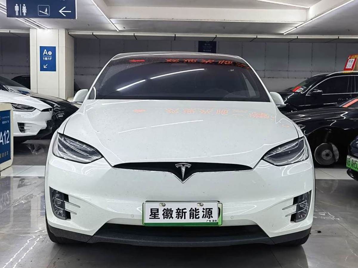 特斯拉 Model X  2020款 長續(xù)航升級版圖片