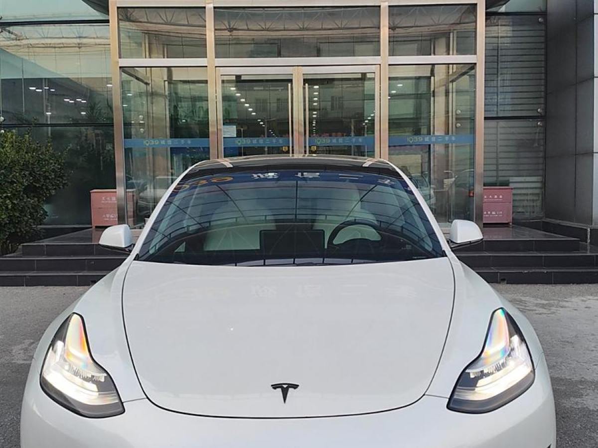 特斯拉 Model 3  2019款 長續(xù)航全輪驅(qū)動版圖片