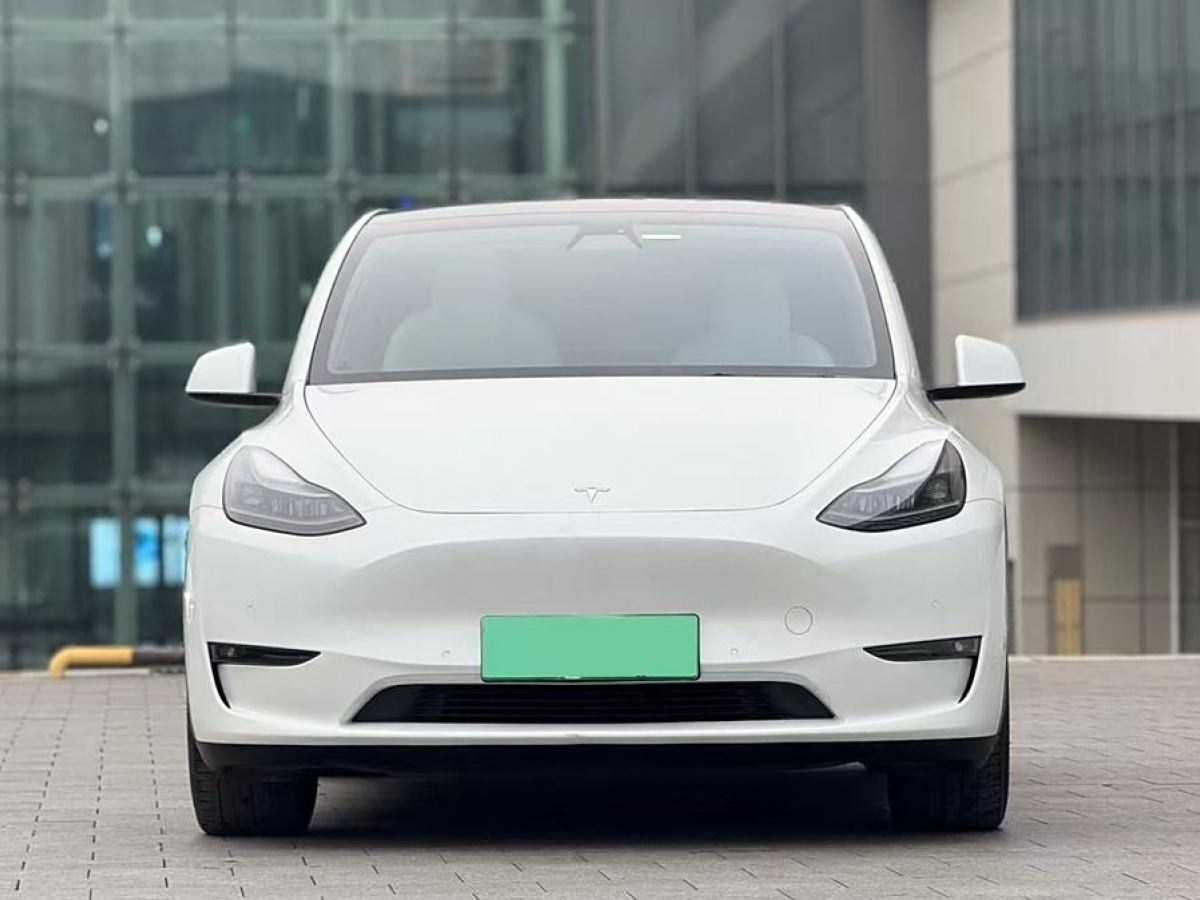 特斯拉 Model Y  2021款 改款 長(zhǎng)續(xù)航全輪驅(qū)動(dòng)版圖片