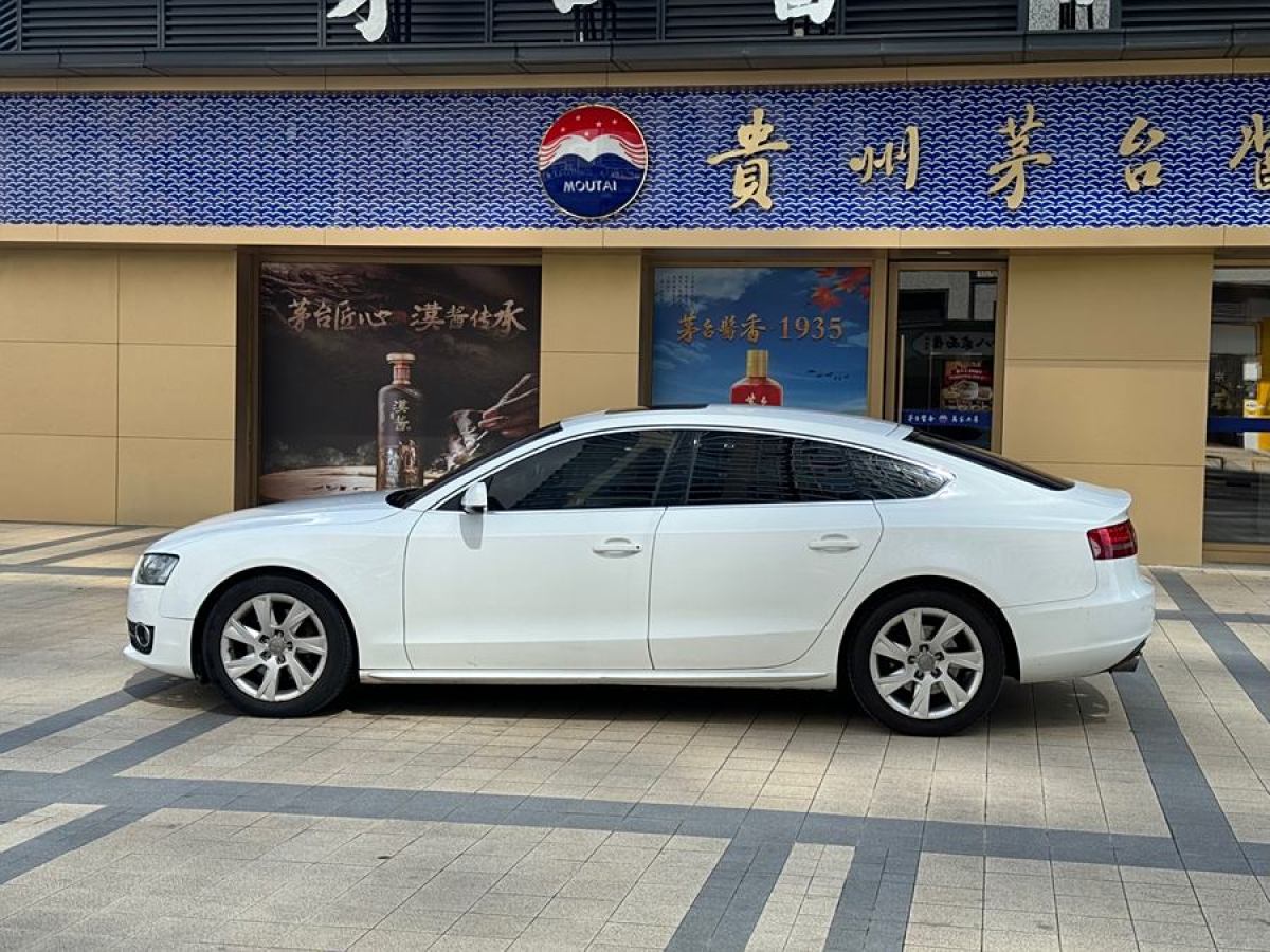 奧迪 奧迪A5  2010款 2.0TFSI Sportback 舒適型圖片