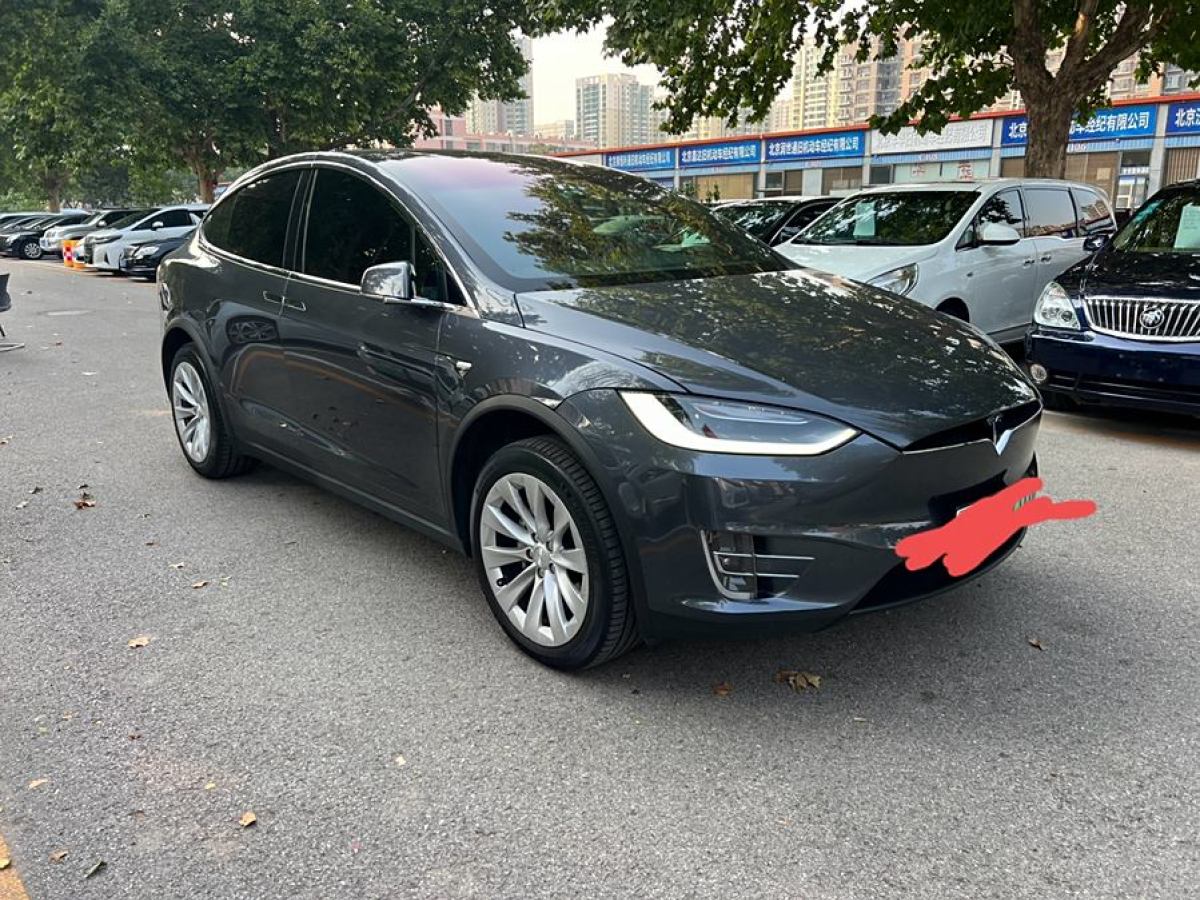 2019年9月特斯拉 Model X  2019款 長續(xù)航版