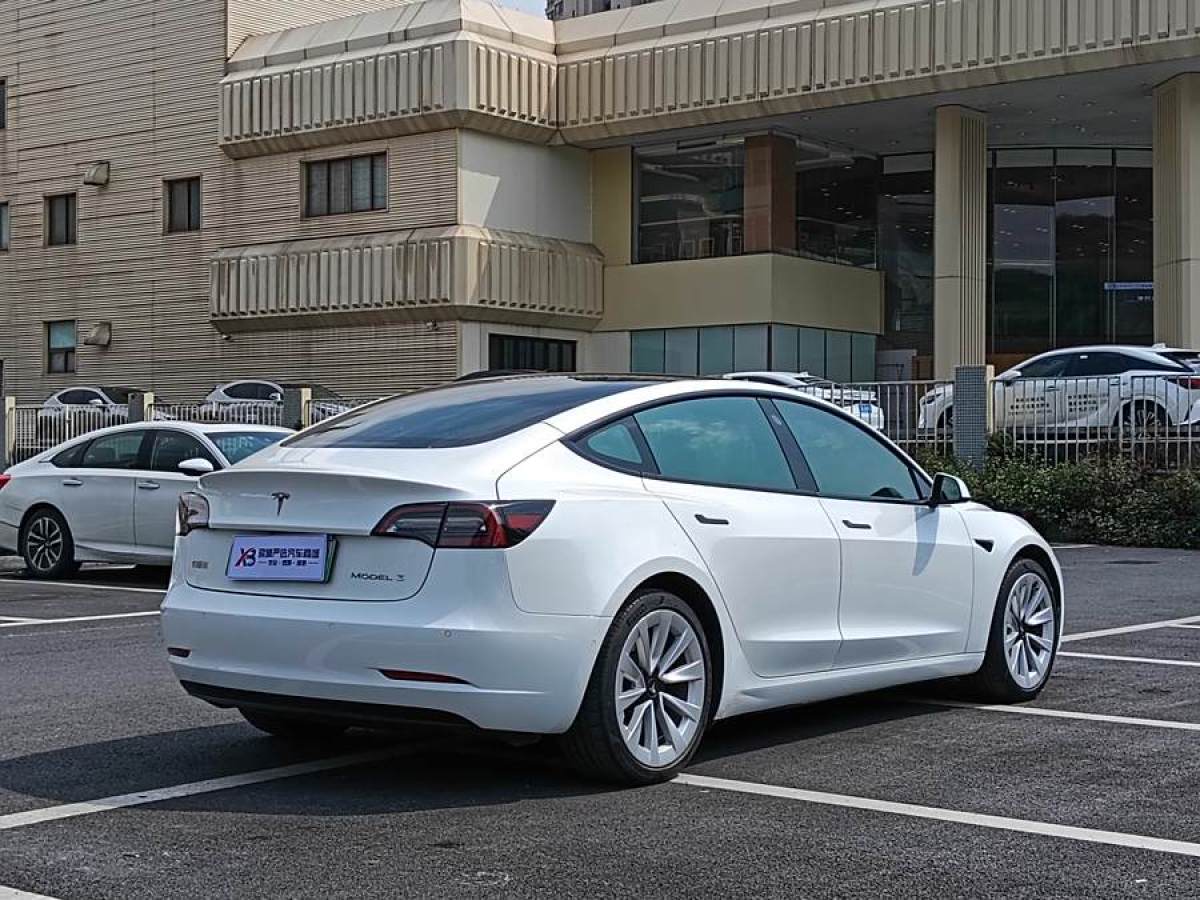 特斯拉 Model 3  2021款 改款 標準續(xù)航后驅(qū)升級版圖片