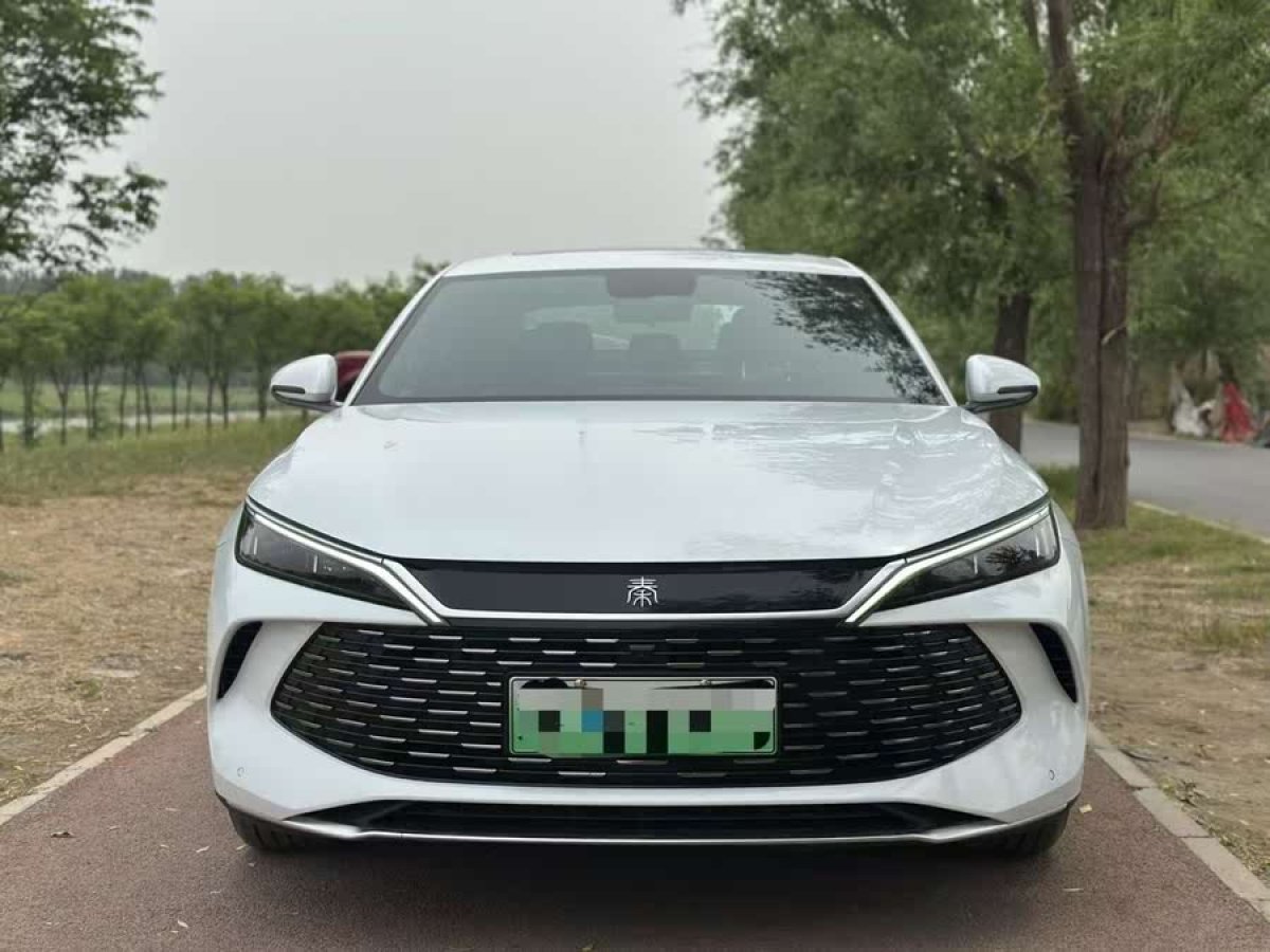 比亞迪 秦L  2024款 DM-i 120KM超越型圖片