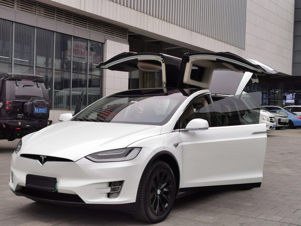 特斯拉 Model X  2017款 Model X 100D 長(zhǎng)續(xù)航版圖片