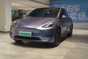 Model 3 特斯拉 改款 長(zhǎng)續(xù)航后輪驅(qū)動(dòng)版