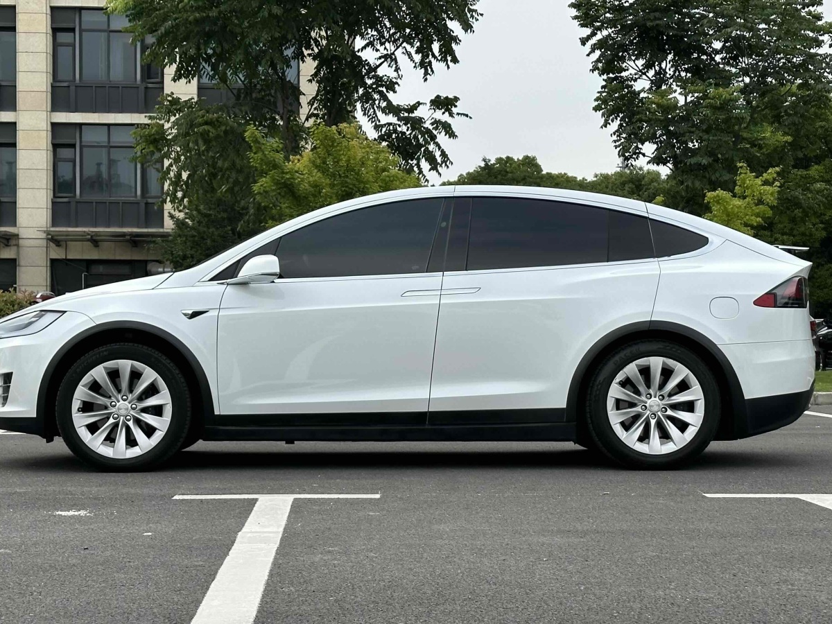 2021年1月特斯拉 Model X  2020款 長續(xù)航升級(jí)版