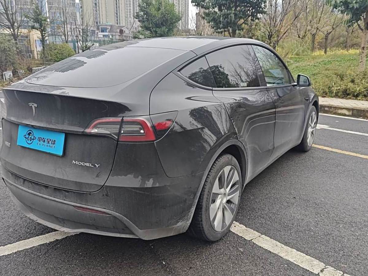 特斯拉 Model 3  2022款 后輪驅(qū)動版圖片