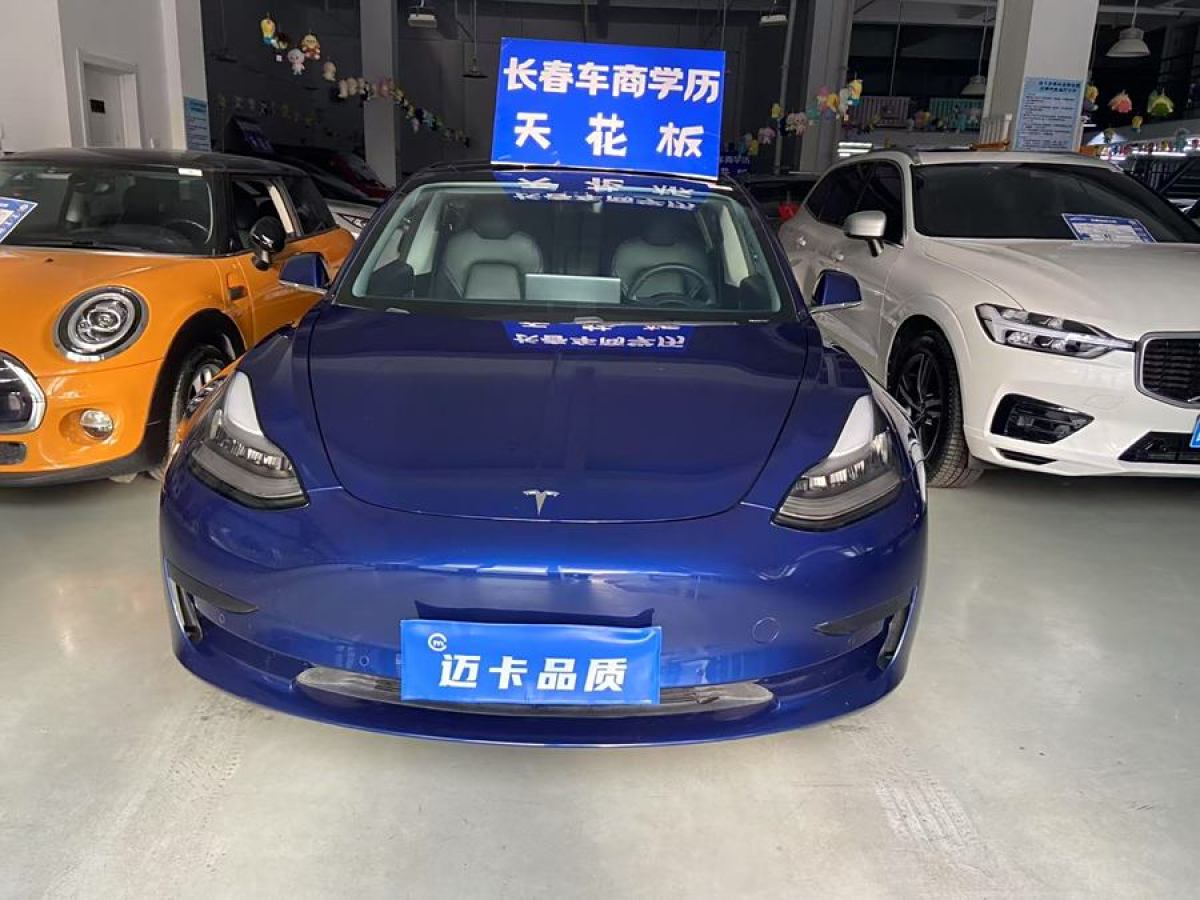 特斯拉 Model 3  2019款 標(biāo)準(zhǔn)續(xù)航后驅(qū)升級(jí)版圖片