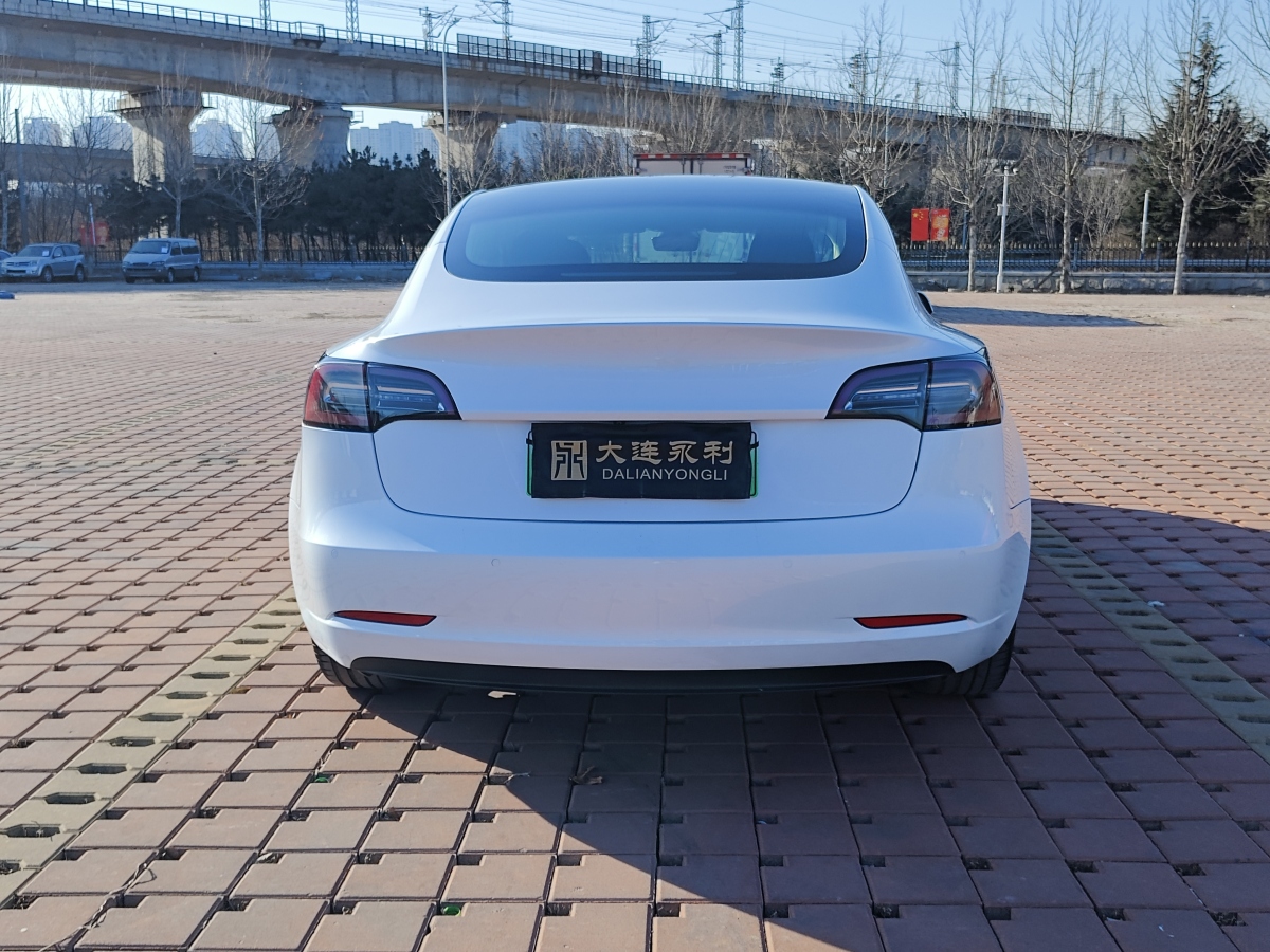 特斯拉 Model 3  2019款 標(biāo)準(zhǔn)續(xù)航后驅(qū)升級版圖片