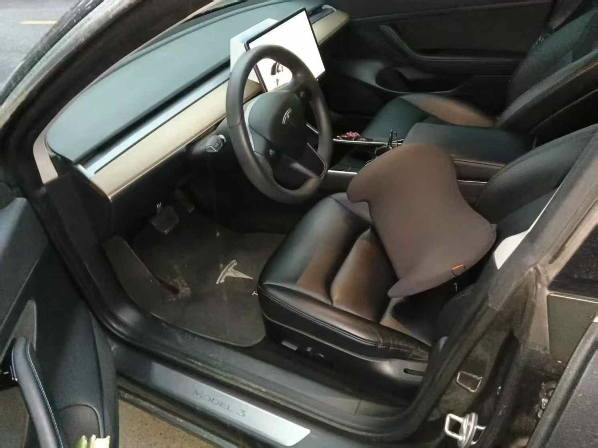 特斯拉 Model X  2020款 Performance 高性能版圖片