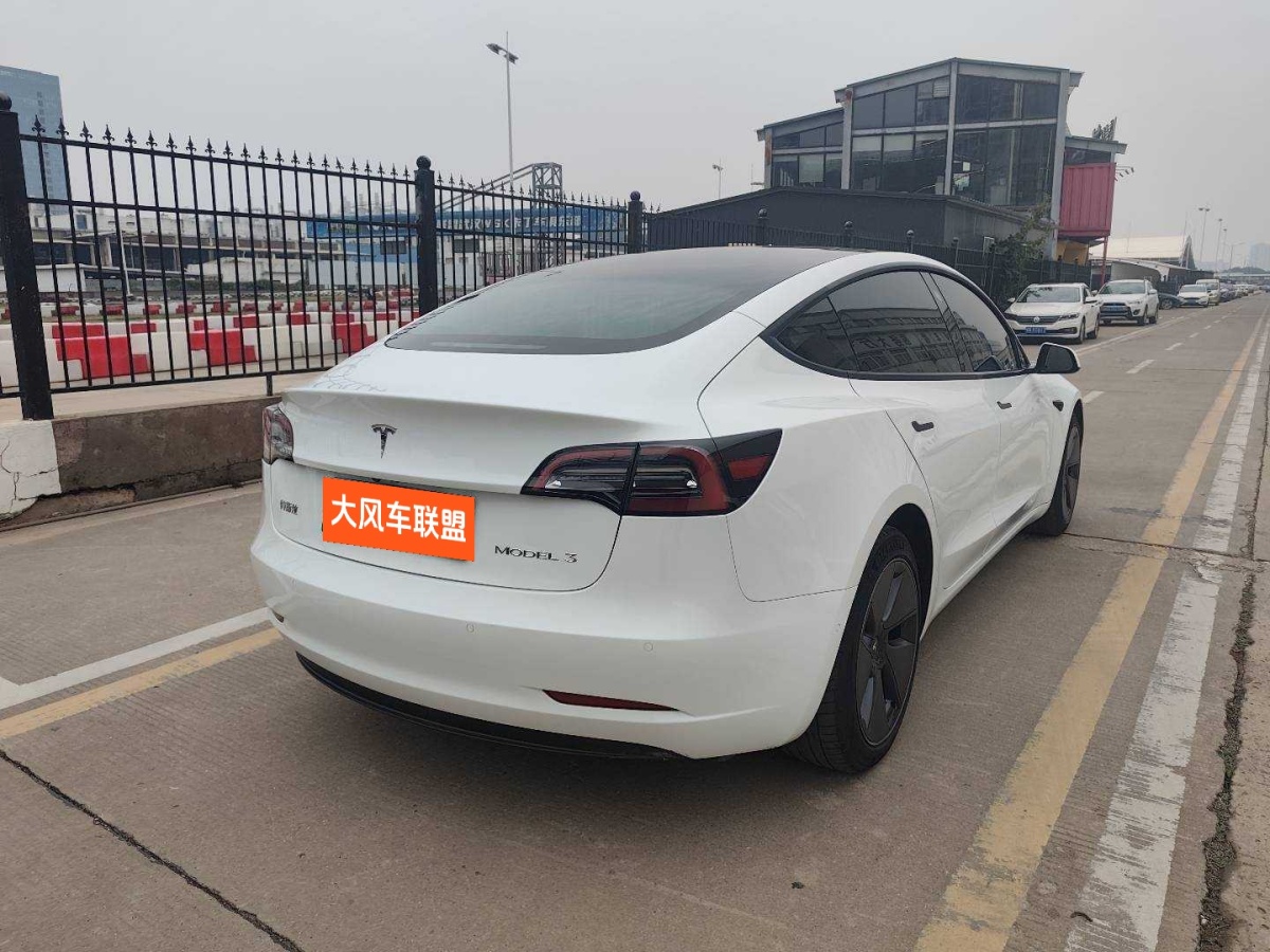 特斯拉 Model 3  2021款 標(biāo)準(zhǔn)續(xù)航后驅(qū)升級(jí)版 3D6圖片