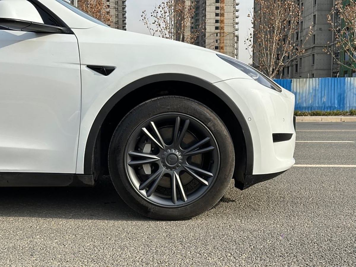 特斯拉 Model 3  2020款 改款 長續(xù)航后輪驅(qū)動版圖片