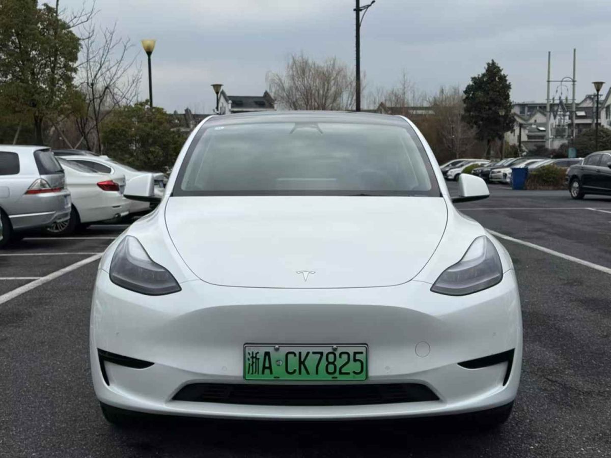 特斯拉 Model S  2023款 三電機(jī)全輪驅(qū)動(dòng) Plaid版圖片