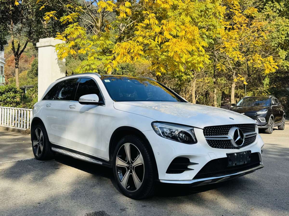 奔馳 奔馳GLC  2019款 改款 GLC 300 L 4MATIC 動感型圖片