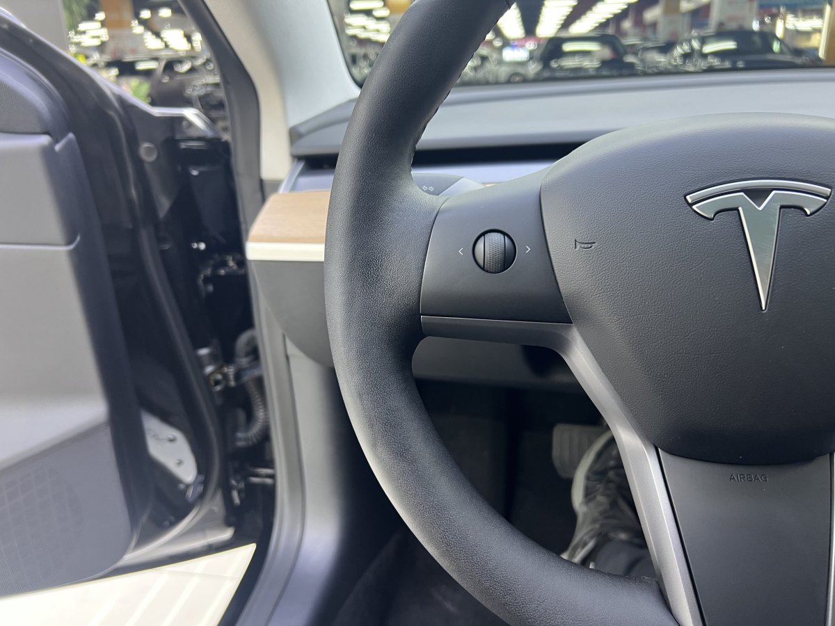 2020年6月特斯拉 Model 3  2020款 改款 標準續(xù)航后驅升級版