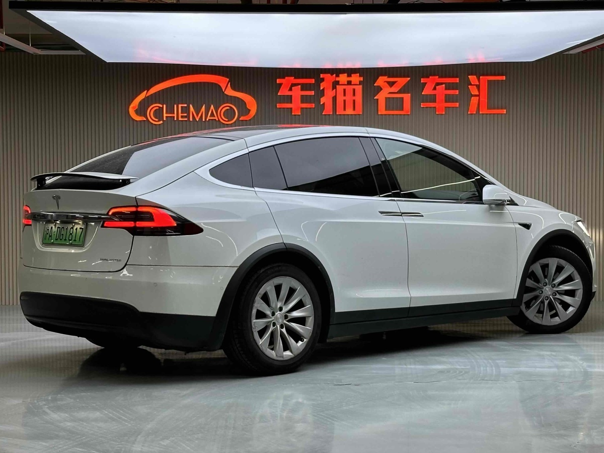 特斯拉 Model X  2019款 長續(xù)航版圖片