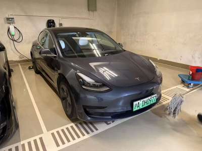 2020年6月 特斯拉 Model 3 改款 標準續(xù)航后驅升級版圖片