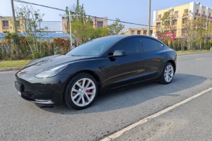 Model Y 特斯拉 改款 后輪驅(qū)動(dòng)版