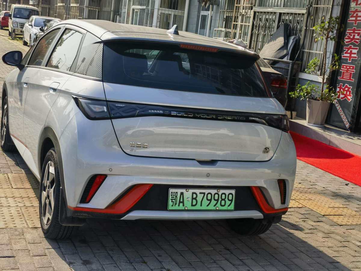 比亞迪 海豚  2021款 405km 自由版圖片