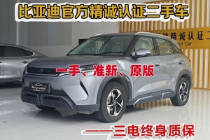 元UP 比亞迪 401KM 超越型