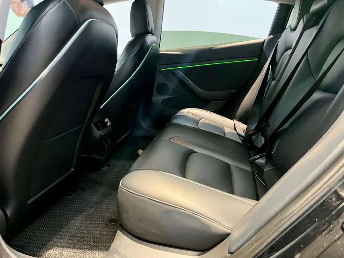 特斯拉 Model 3  2022款 后輪驅(qū)動版圖片