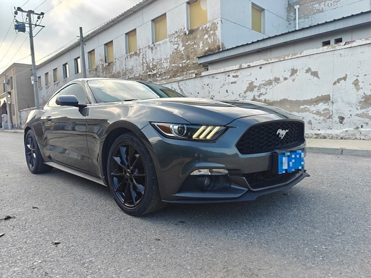 福特 Mustang  2016款 2.3T 性能版圖片