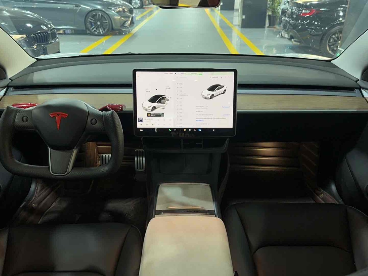 特斯拉 Model 3  2019款 Performance高性能全輪驅(qū)動版圖片