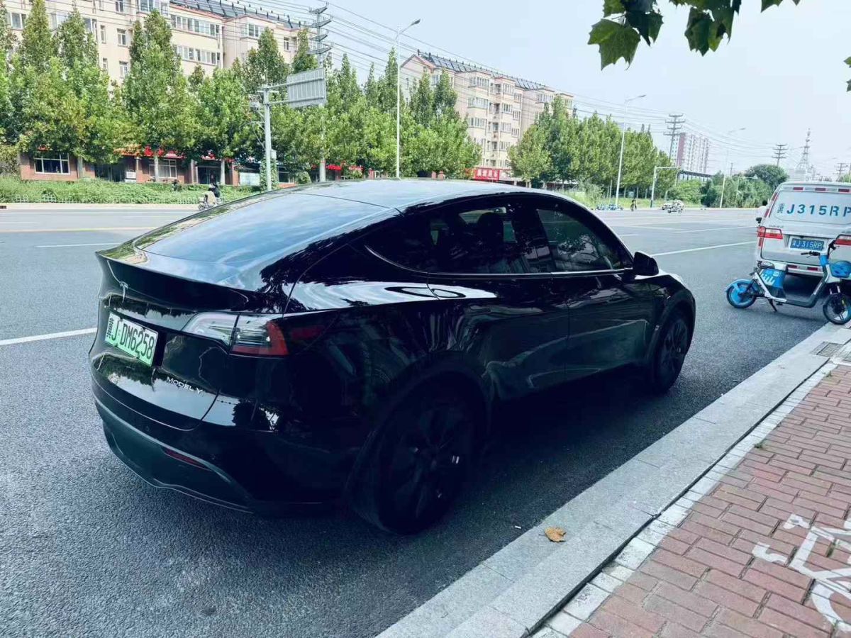 特斯拉 Model Y  2022款 Performance高性能全輪驅(qū)動(dòng)版圖片