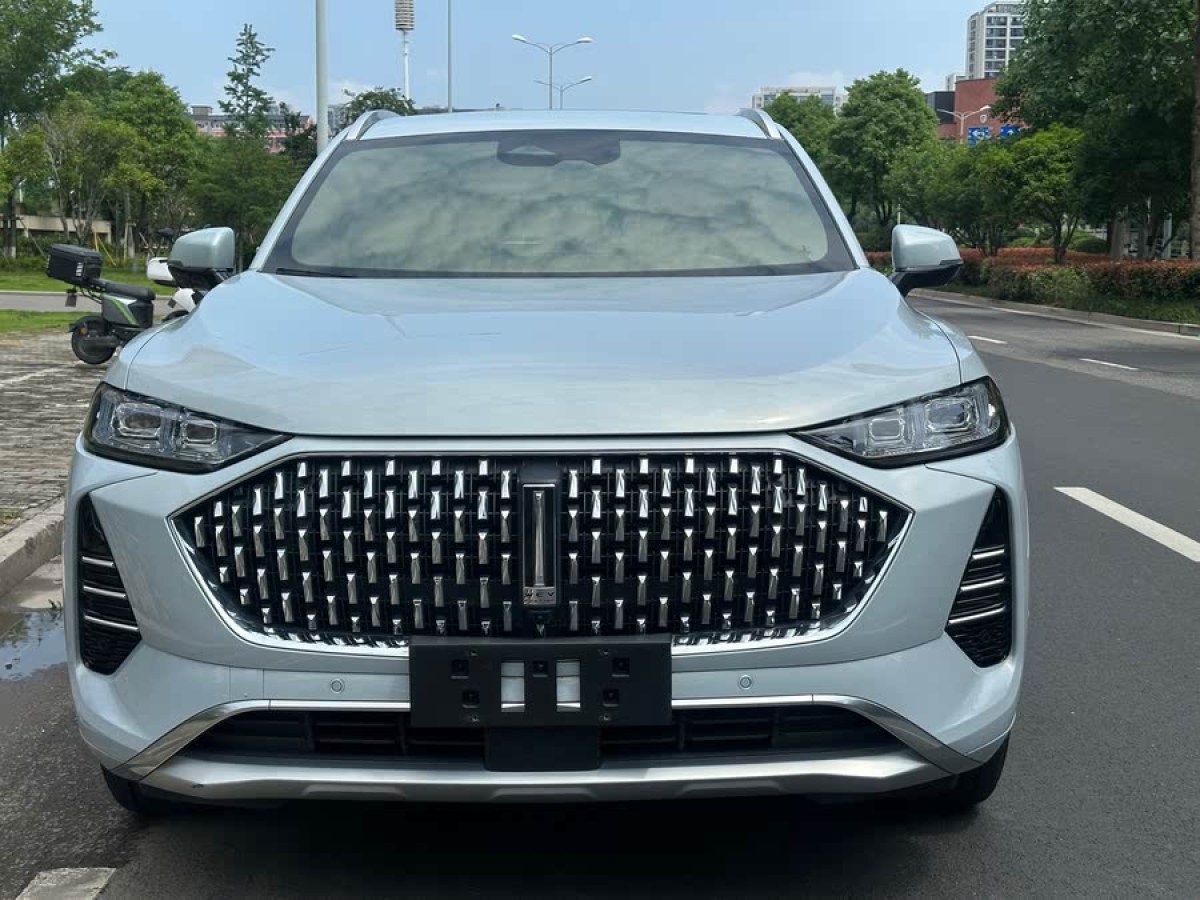 長(zhǎng)城 摩卡  2021款 2.0T 兩驅(qū)特醇版圖片