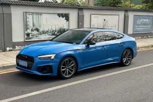 奧迪A5 奧迪 Sportback 45 TFSI quattro 臻選動(dòng)感型