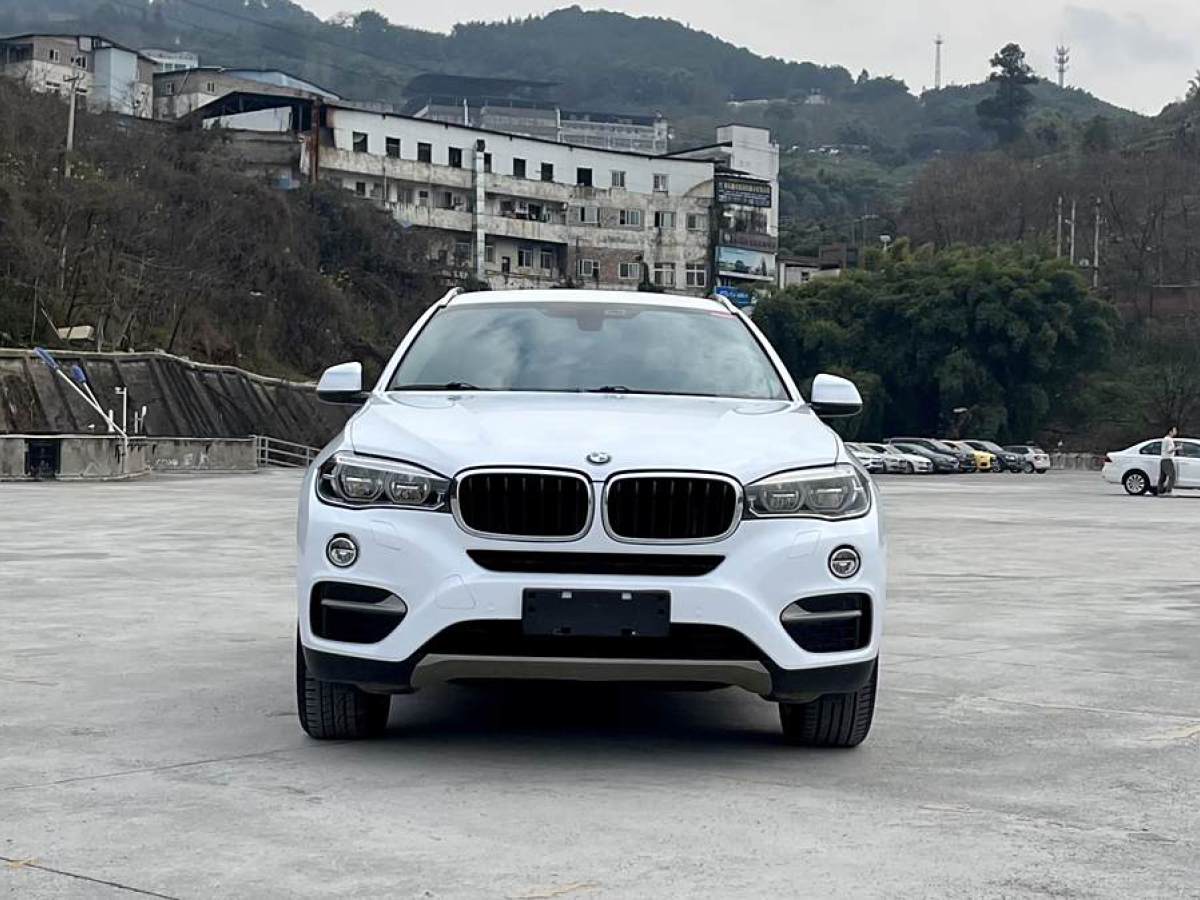 寶馬 寶馬X6  2017款 xDrive35i 領(lǐng)先型圖片