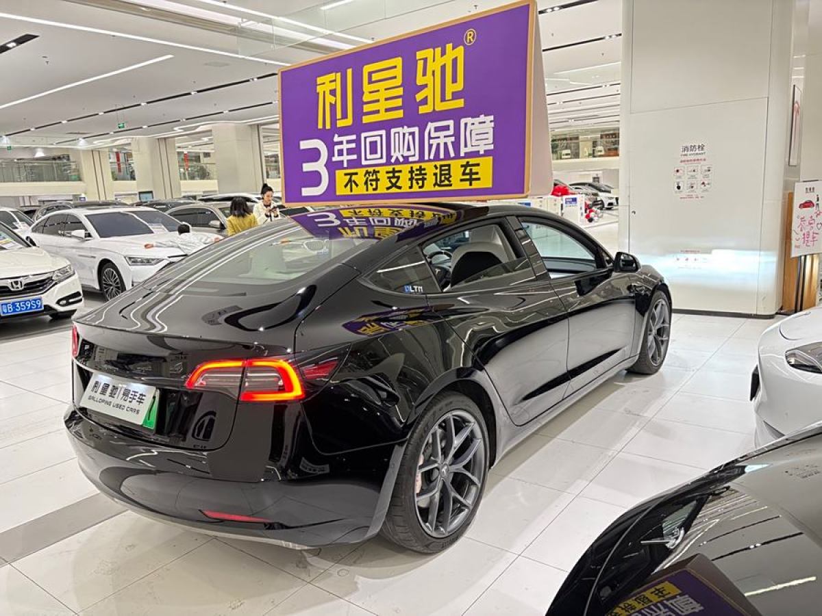 特斯拉 Model 3  2021款 改款 Performance高性能全輪驅(qū)動版圖片