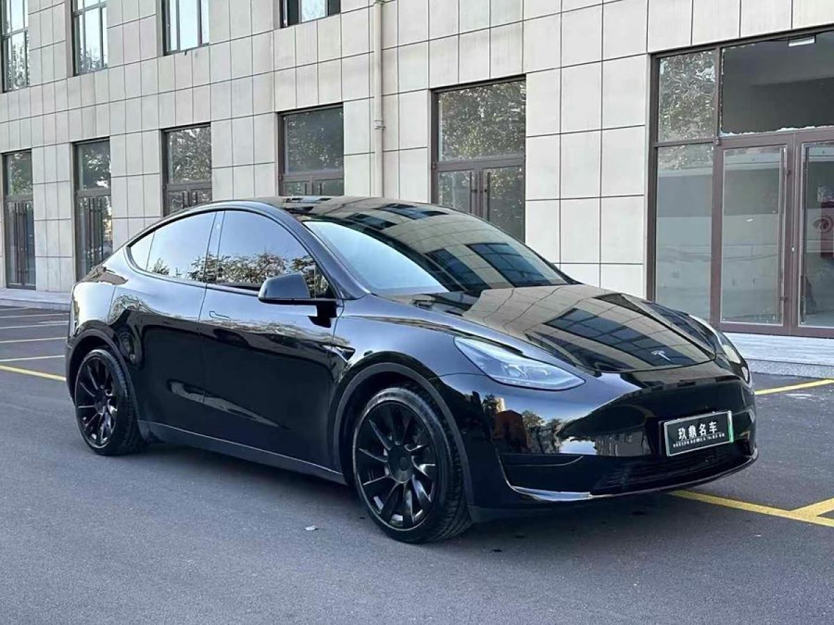 特斯拉 Model Y  2022款 后輪驅(qū)動版圖片