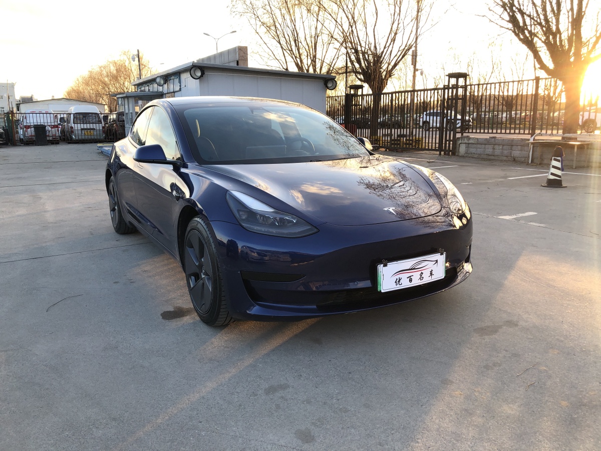 特斯拉 Model 3  2019款 標(biāo)準(zhǔn)續(xù)航后驅(qū)升級(jí)版圖片