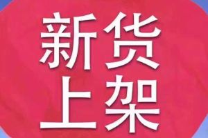 蒙迪歐 福特 