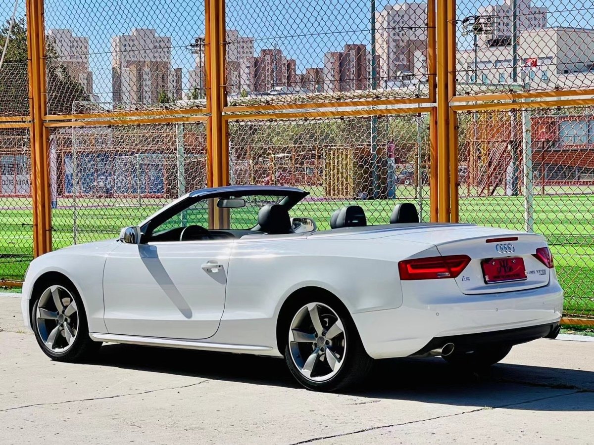 奧迪 奧迪A5  2014款 Cabriolet 45 TFSI quattro圖片