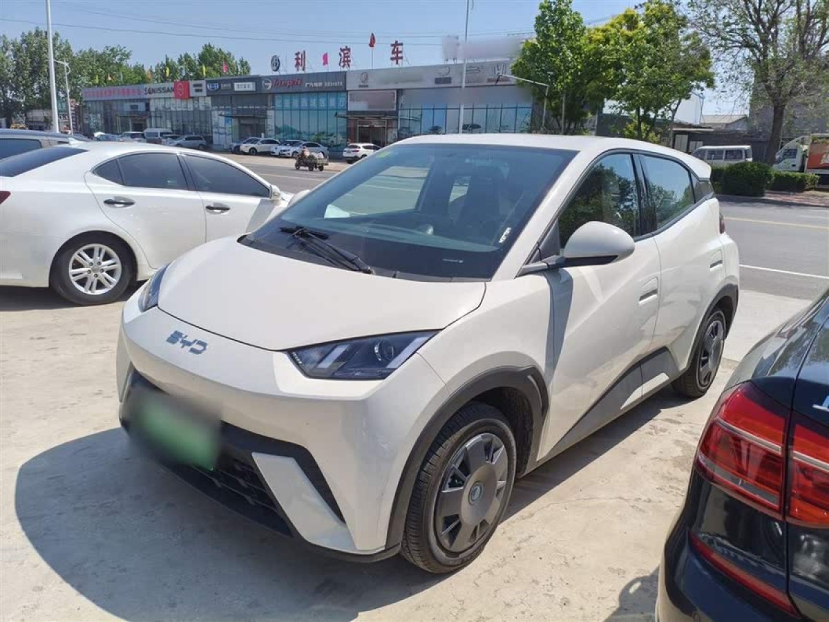 比亞迪 海鷗  2025款 305km 活力版圖片