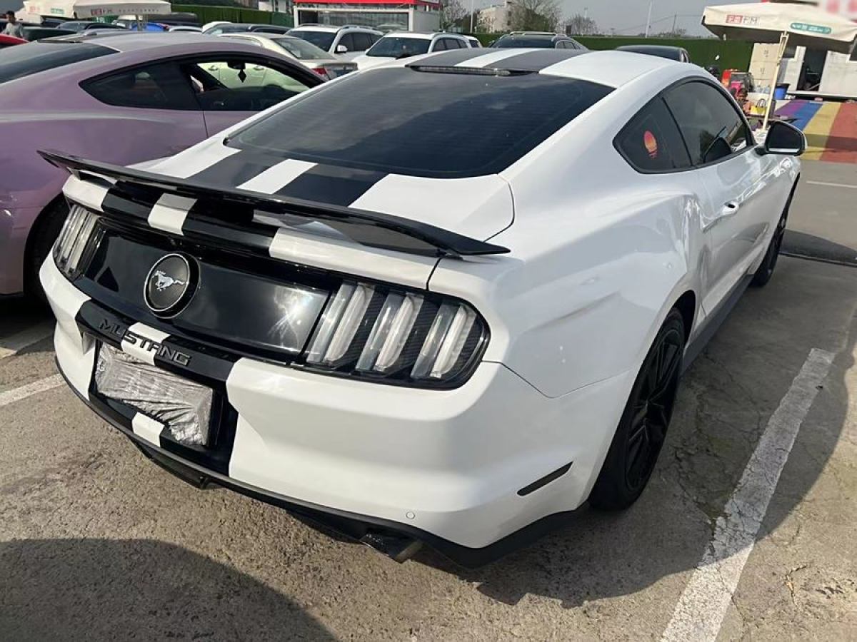 福特 Mustang  2015款 2.3T 性能版圖片