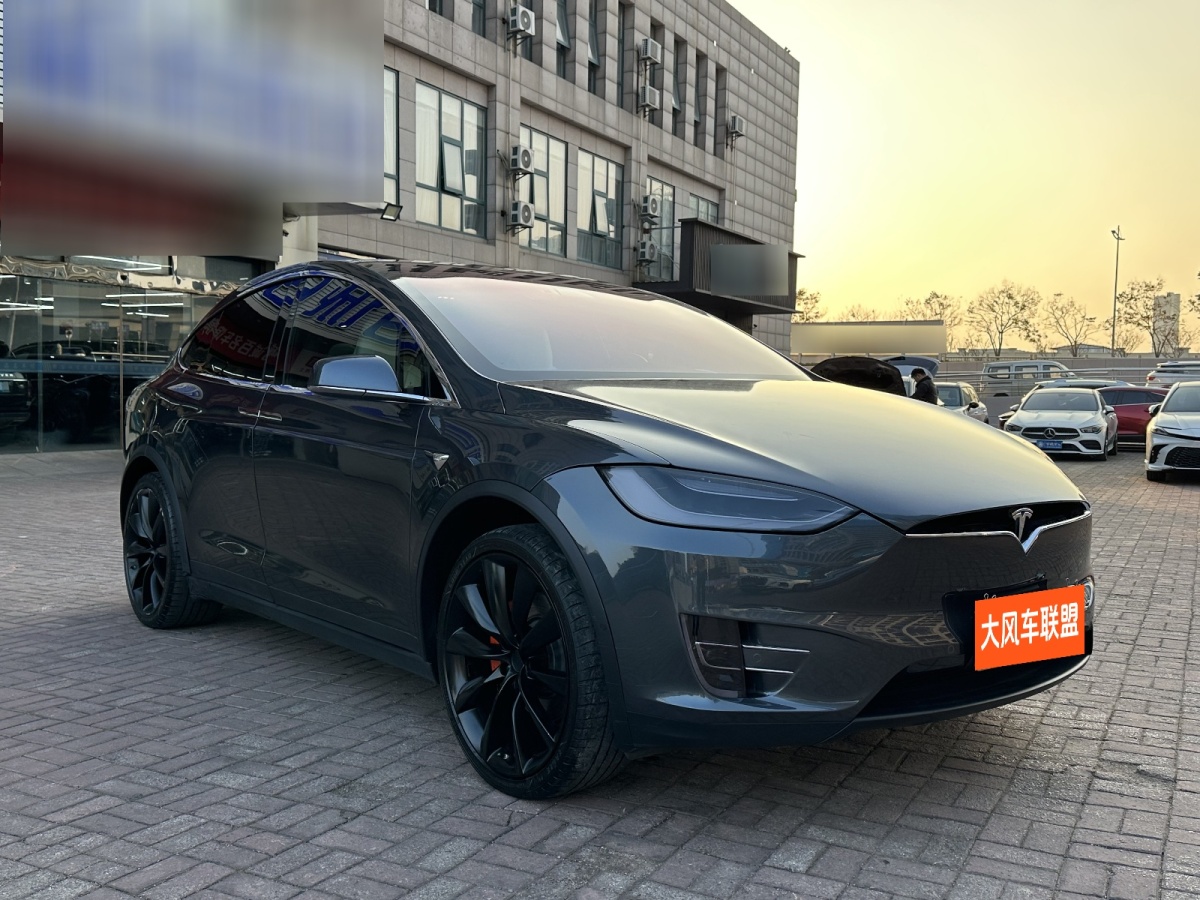 特斯拉 Model X  2017款 Model X 100D 長續(xù)航版圖片