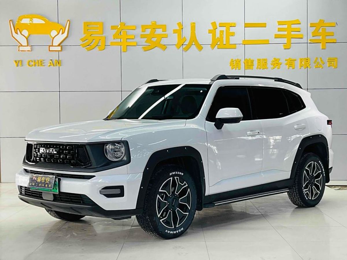 2023年4月哈弗 哈弗二代大狗新能源  2023款 DHT-PHEV 105km 潮電版Plus