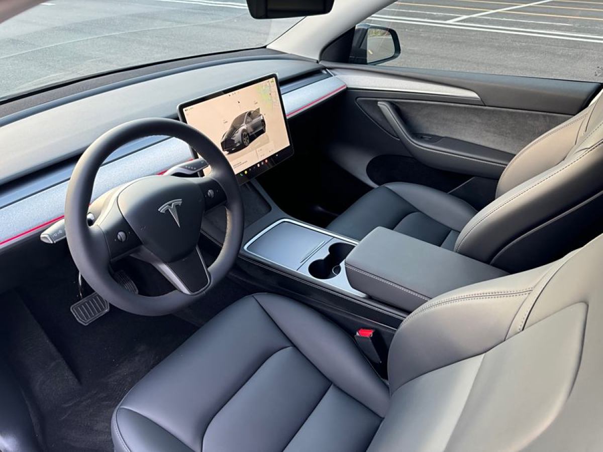 特斯拉 Model Y  2020款 改款 長續(xù)航后輪驅動版圖片