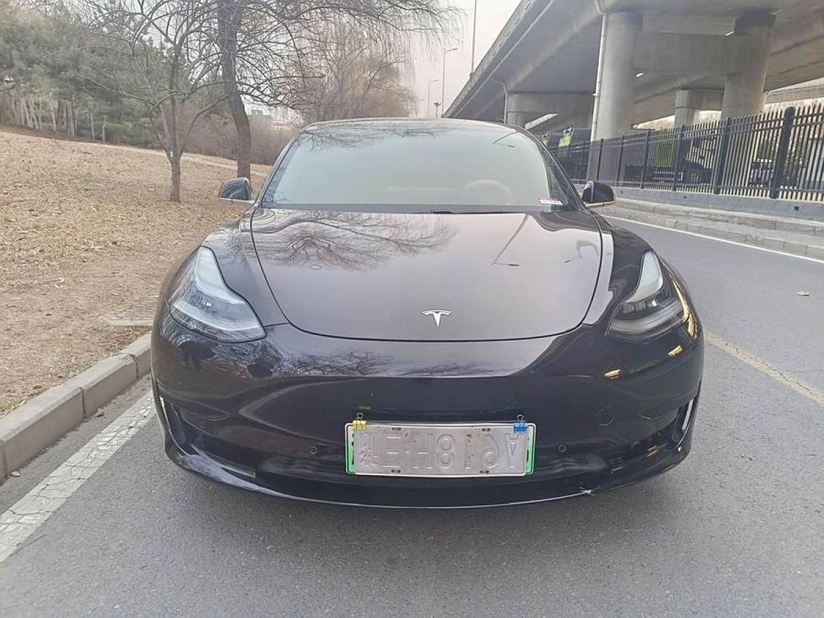 2020年12月特斯拉 Model 3  2020款 改款 標(biāo)準(zhǔn)續(xù)航后驅(qū)升級版