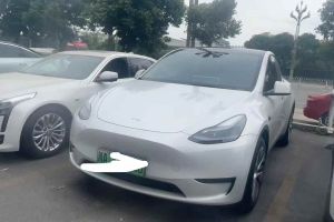 Model S 特斯拉 三電機(jī)全輪驅(qū)動(dòng) Plaid版