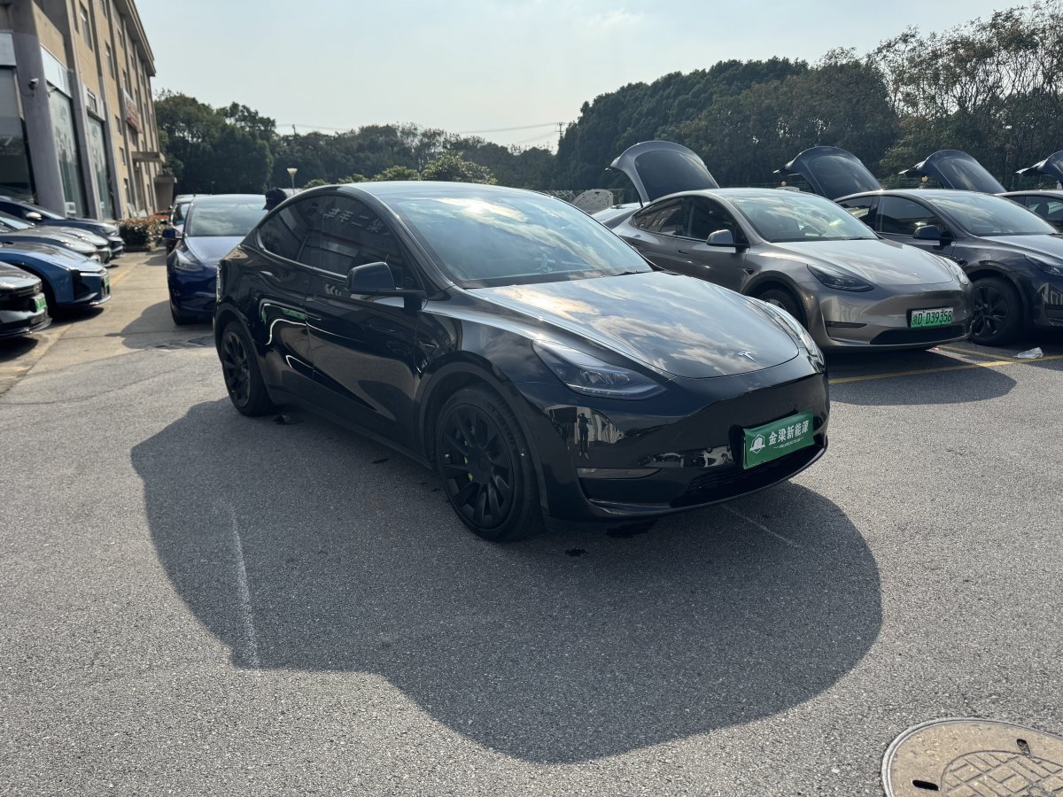 特斯拉 Model Y  2021款 改款 標(biāo)準(zhǔn)續(xù)航后驅(qū)升級(jí)版圖片