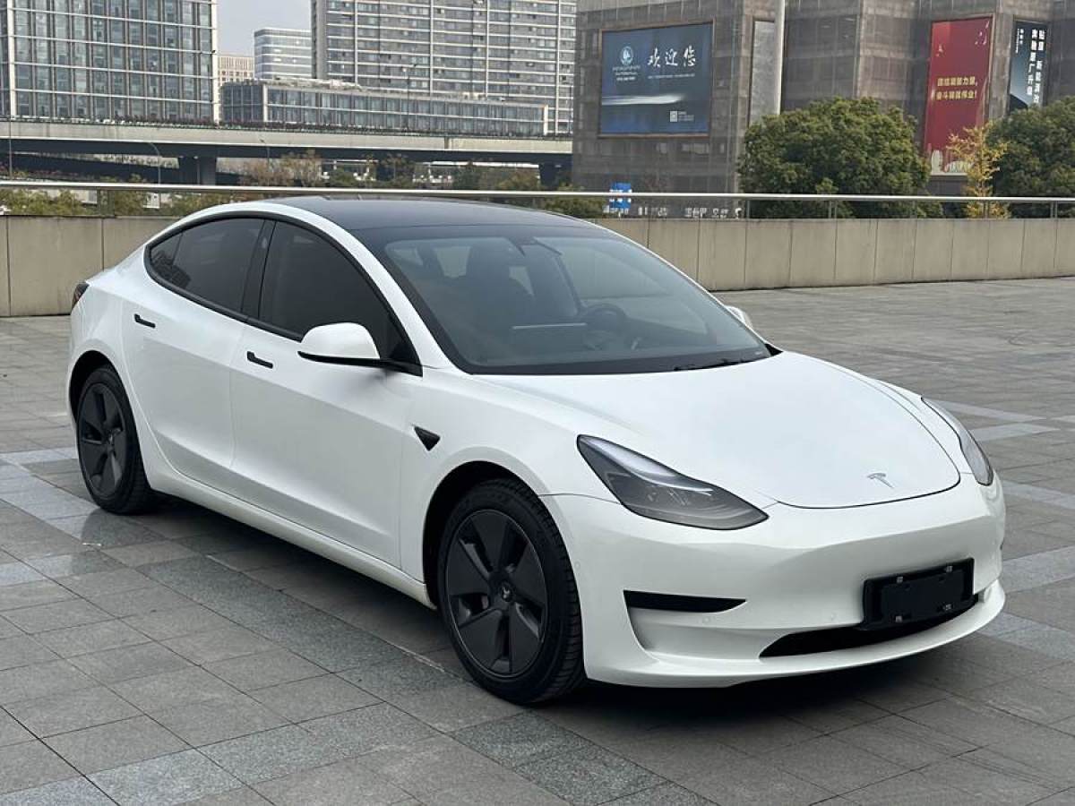 特斯拉 Model 3  2021款 改款 標(biāo)準(zhǔn)續(xù)航后驅(qū)升級(jí)版圖片