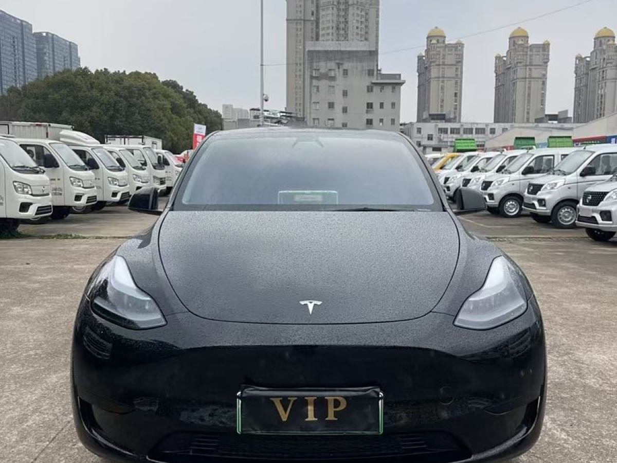 特斯拉 Model 3  2020款 改款 長續(xù)航后輪驅(qū)動版圖片