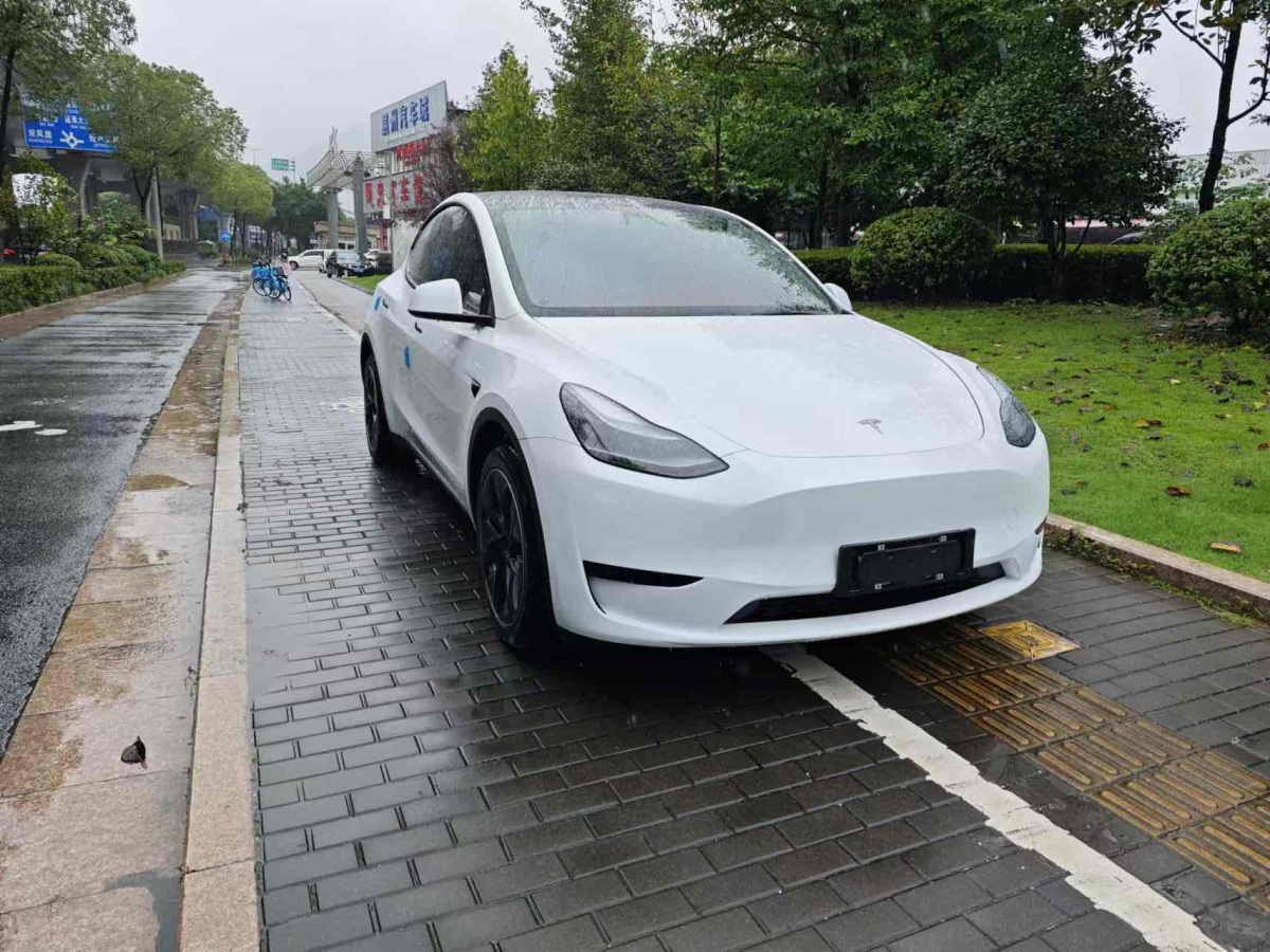 特斯拉 Model Y  2020款 改款 長(zhǎng)續(xù)航后輪驅(qū)動(dòng)版圖片