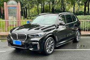 宝马X5 宝马 改款 xDrive 30Li M运动套装