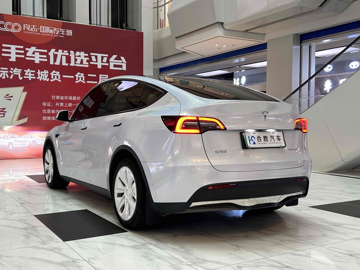 特斯拉 Model Y  2020款 改款 長續(xù)航后輪驅(qū)動版圖片