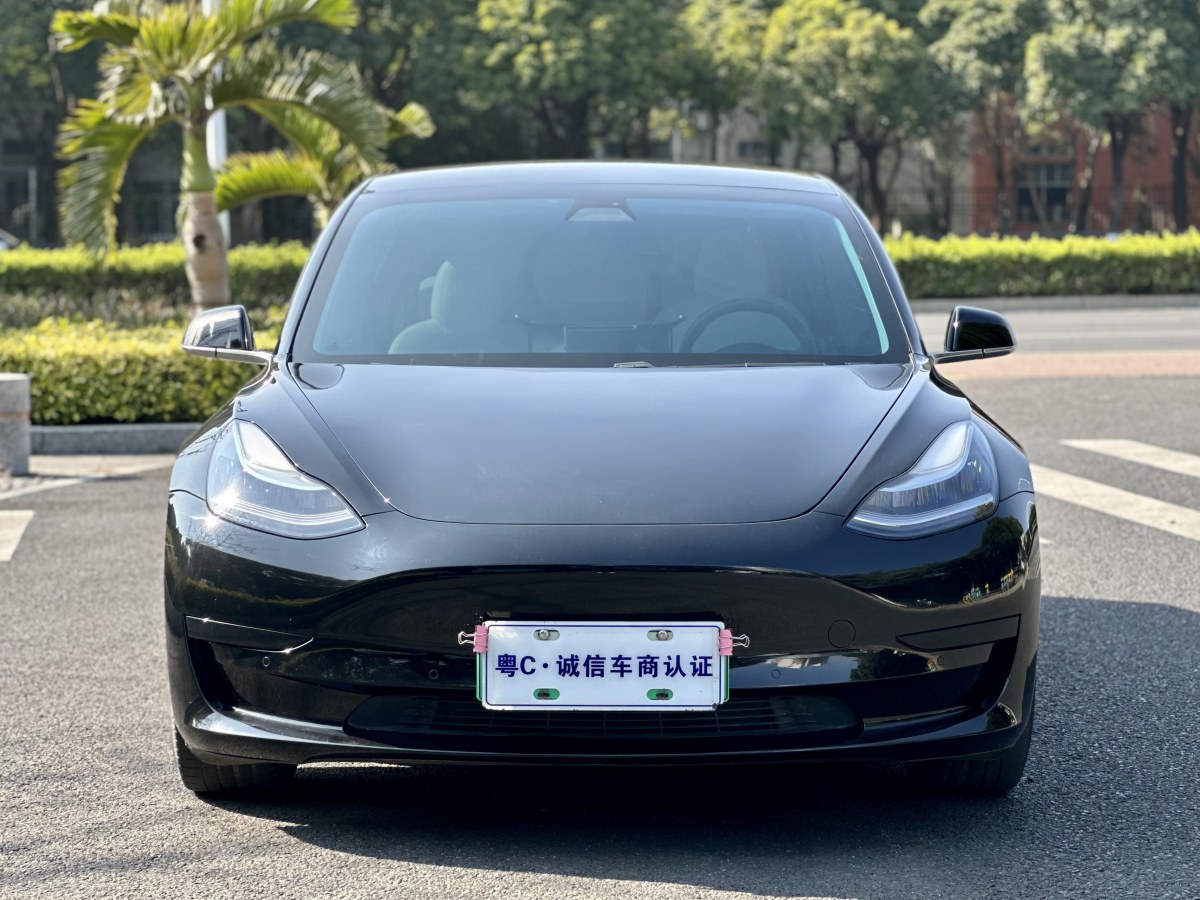 特斯拉 Model 3  2019款 標準續(xù)航后驅(qū)升級版圖片